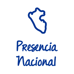 Capacitación y servicio técnico